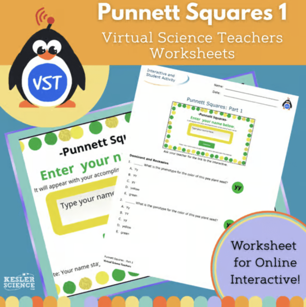 Punnett Squares Worksheet 1
